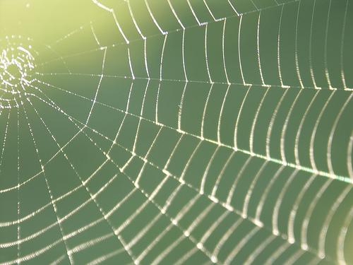 web gossamer