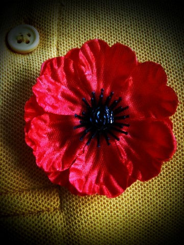 Remembrance Day Poppy Remembrance Day Poppy