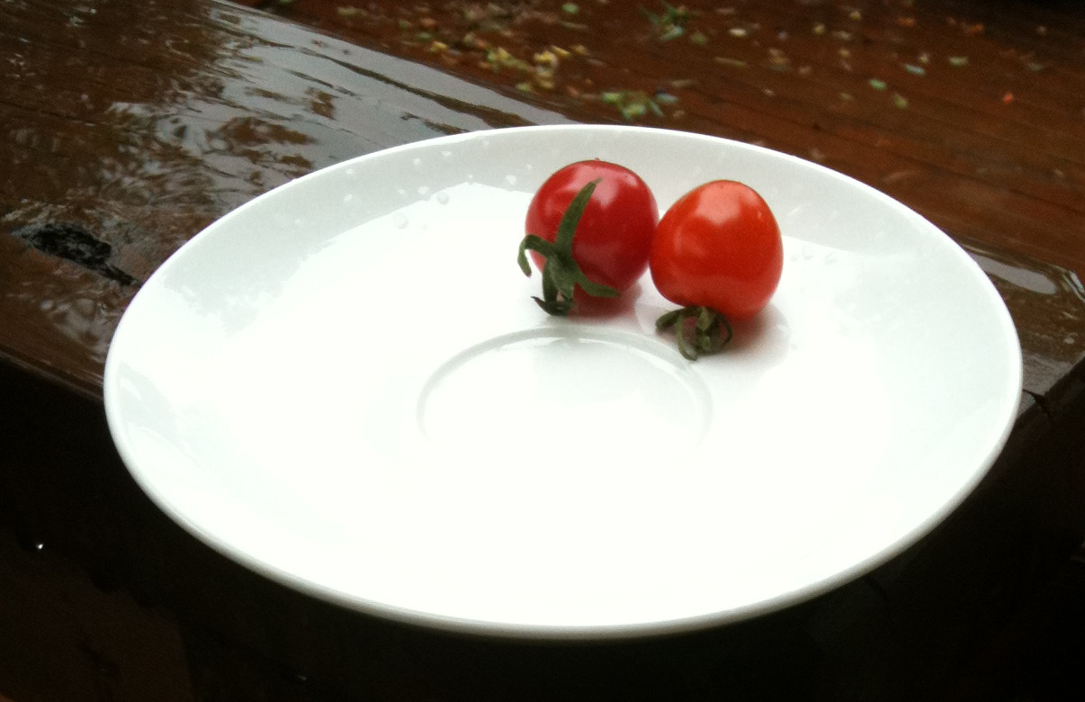 Pink Pearl and Cherry Tomato