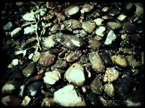 river rocks