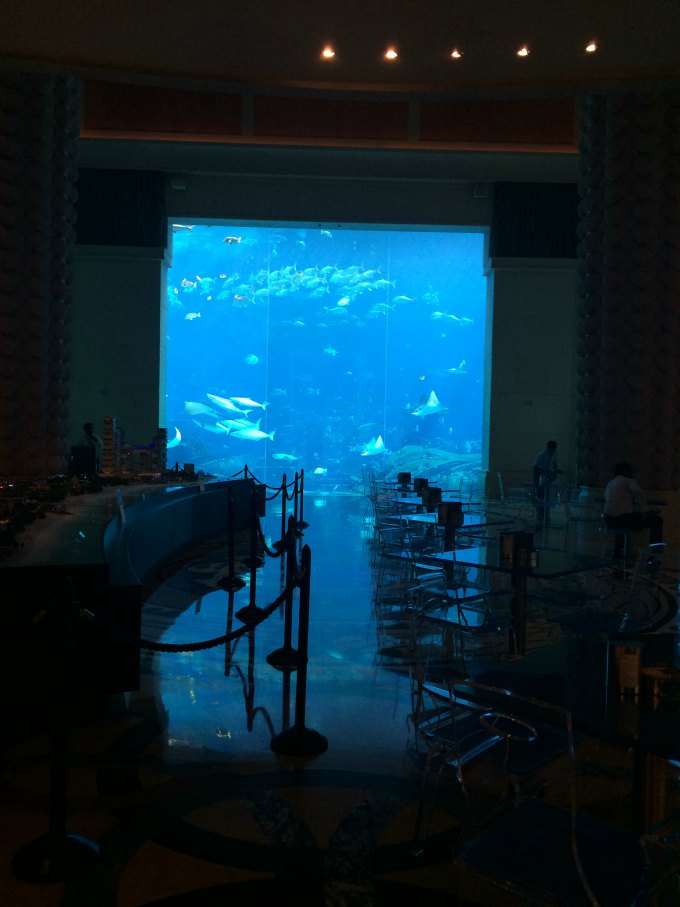 atlantis the palm aquarium