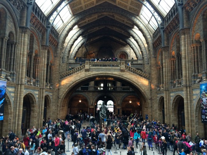 natural history museum