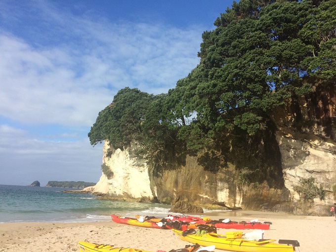 kayaks on beach