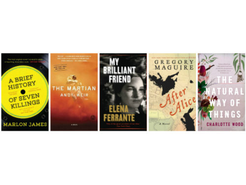 5-fiction-books-for-christmas-2015-karen-andrews